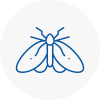 Moth Control Specialists In Carluke